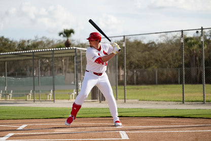 Surge Elbow Guard MLB